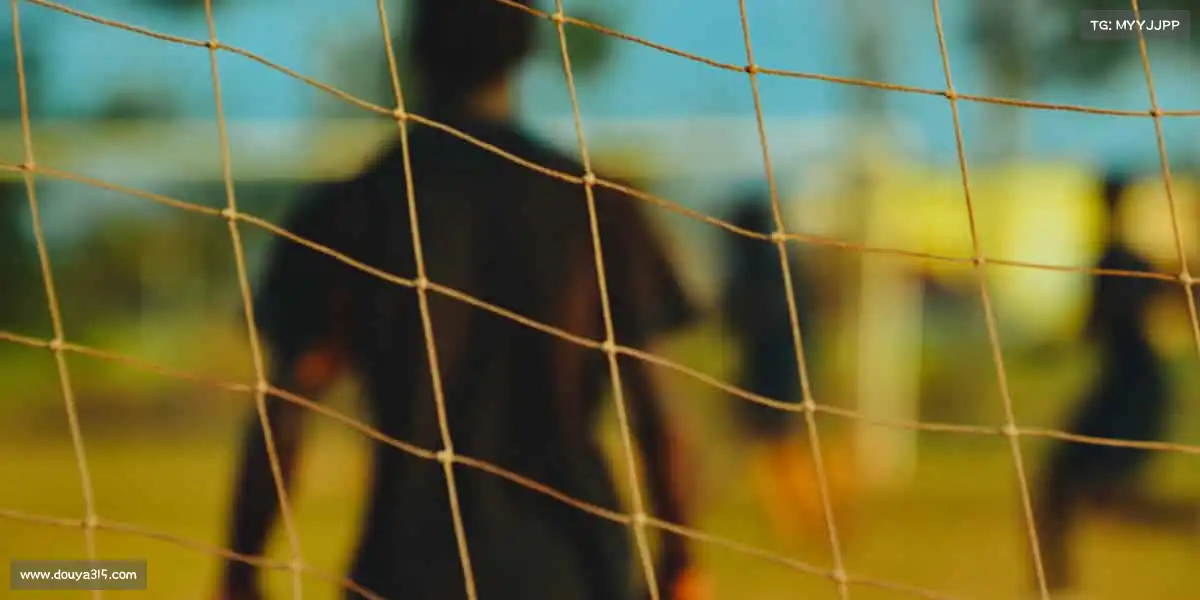 我们的核心竞争力